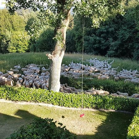 Ferienwohnung "Tecklenburger Augenblicke" ภายนอก รูปภาพ