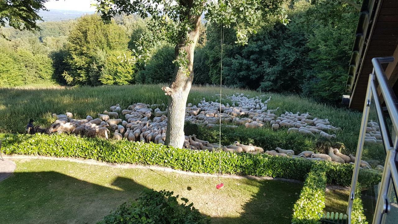 Ferienwohnung "Tecklenburger Augenblicke" ภายนอก รูปภาพ